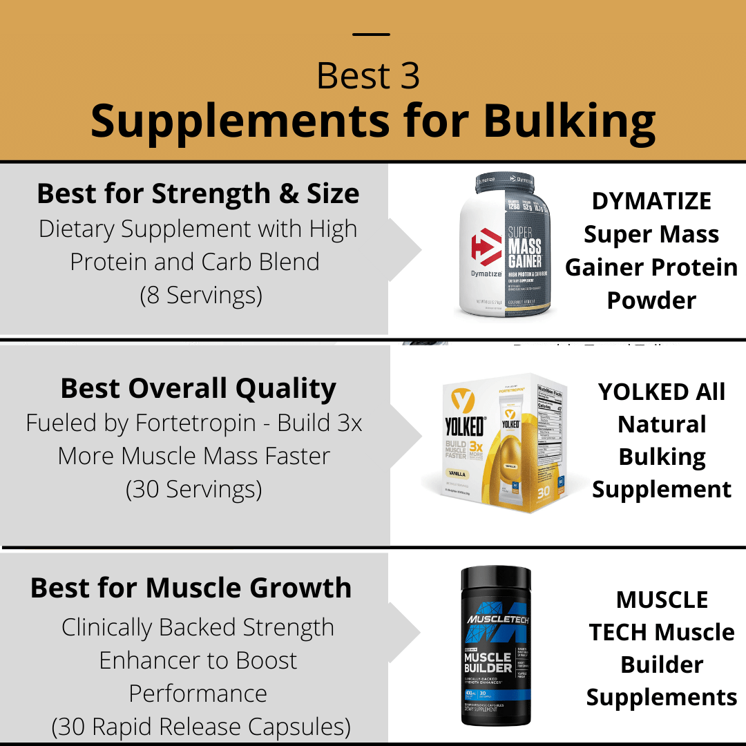 Best Supplements for Bulking