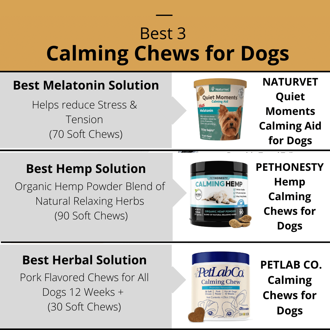 Best Calming Chews for Dogs