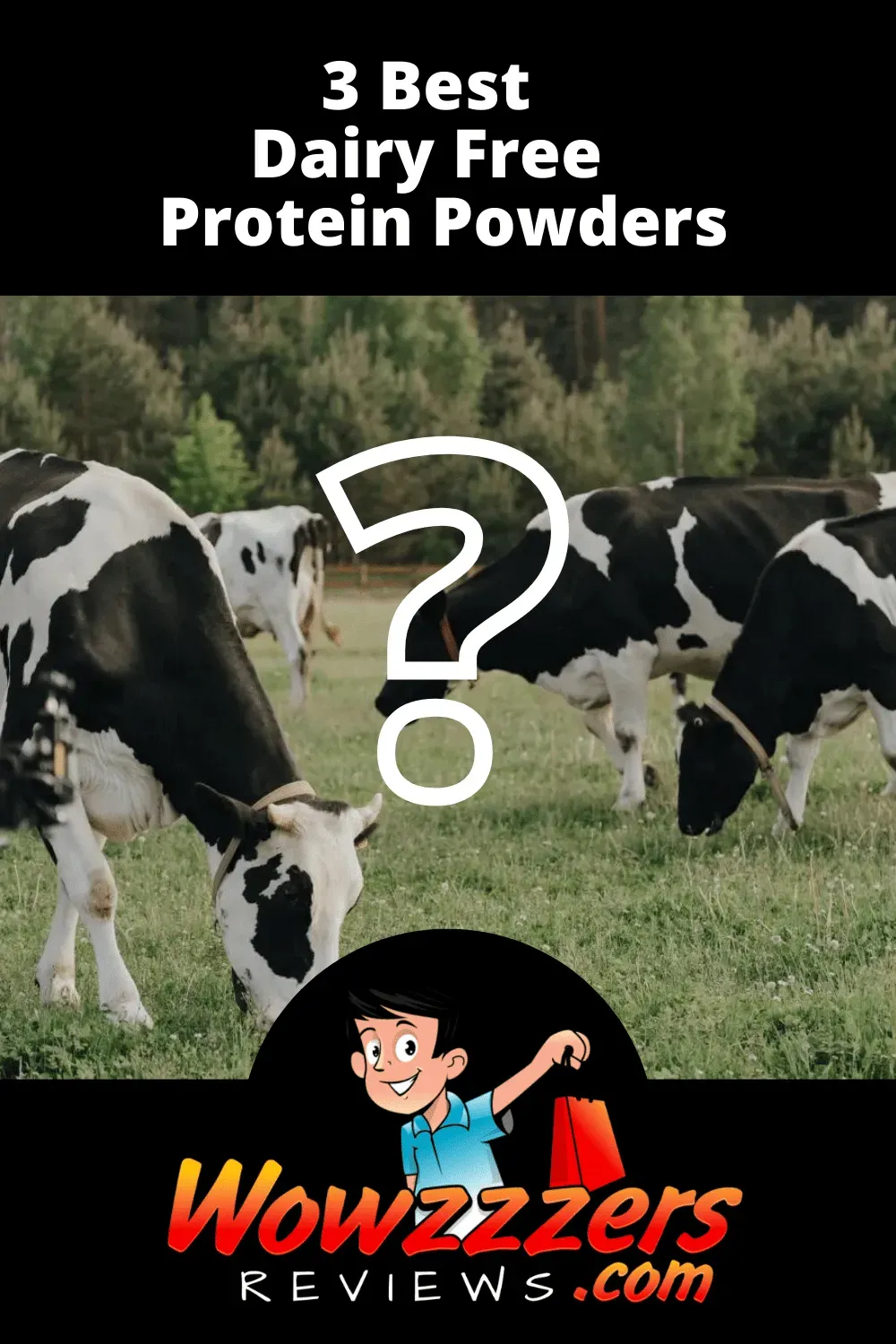Best Dairy Free Protein Powder