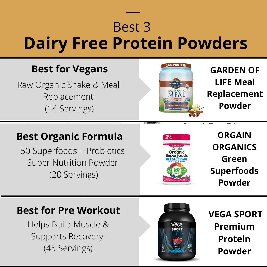 Best Dairy Free Protein Powder
