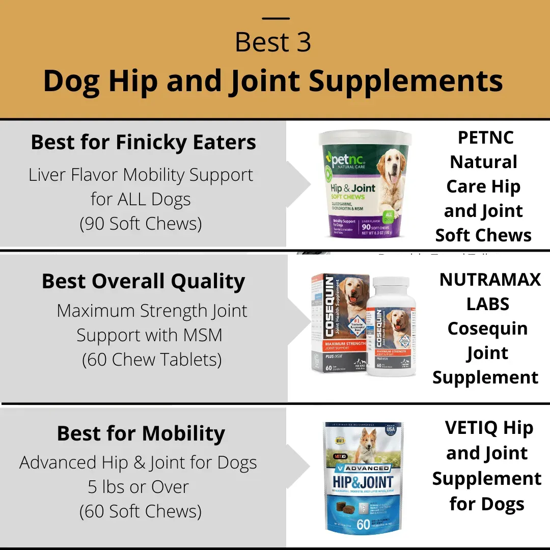 Best Dog Hip and Joint Supplements