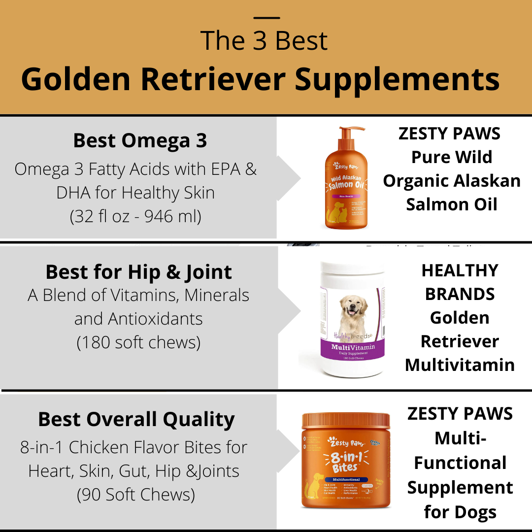 The 3 Best Golden Retriever Supplements