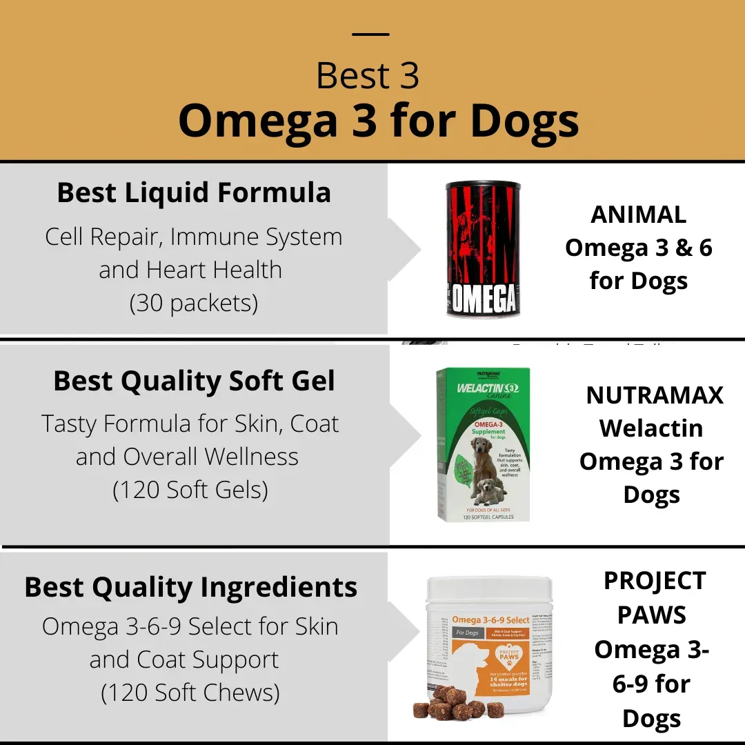 Best Omega 3 for Dogs