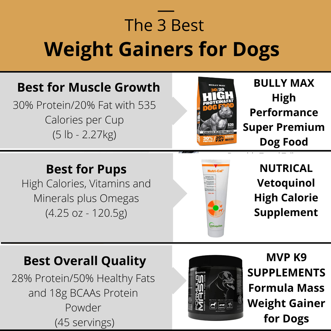 The 3 Best Weight Gainers for Dogs