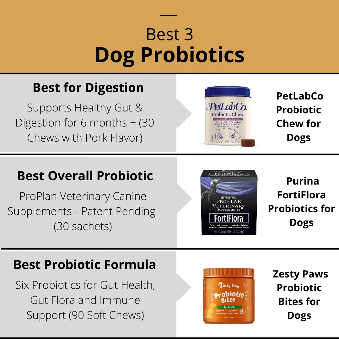 Best Dog Probiotics