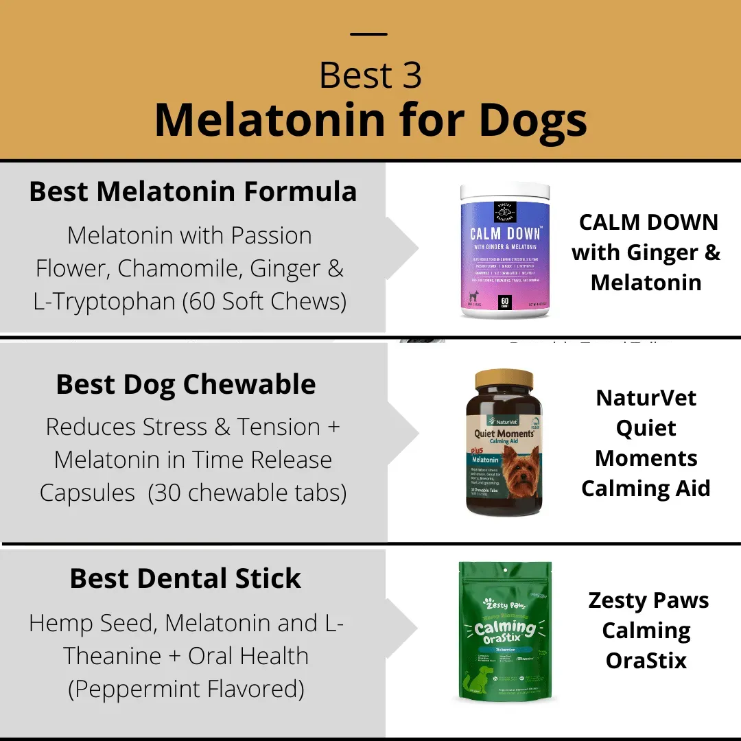 Best Melatonin for Dogs