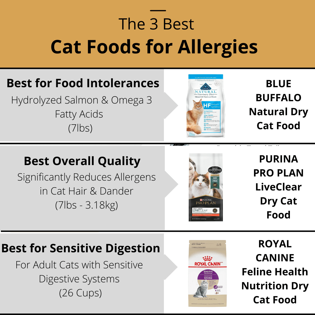 Best Cat Foods for Allergies