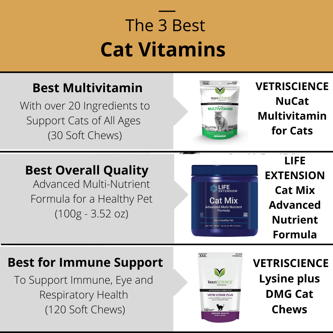 The 3 Best Cat Vitamins