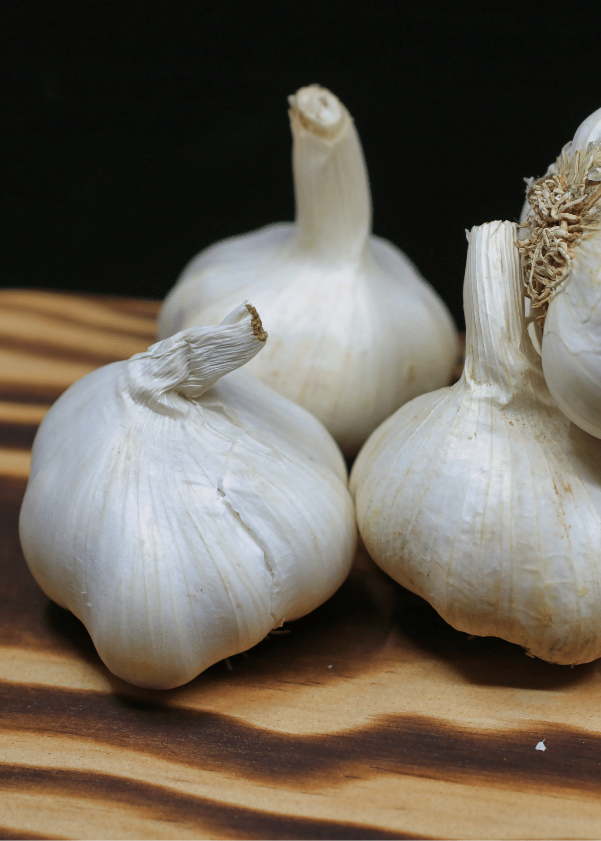 Best Garlic Supplement