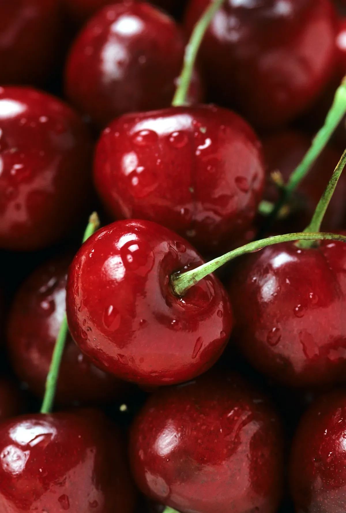 Tart Cherry Side Effects